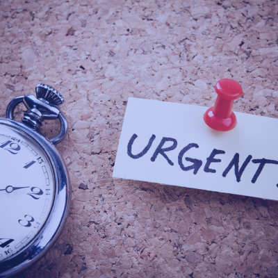 Steps to take when a business phone is lost or stolen