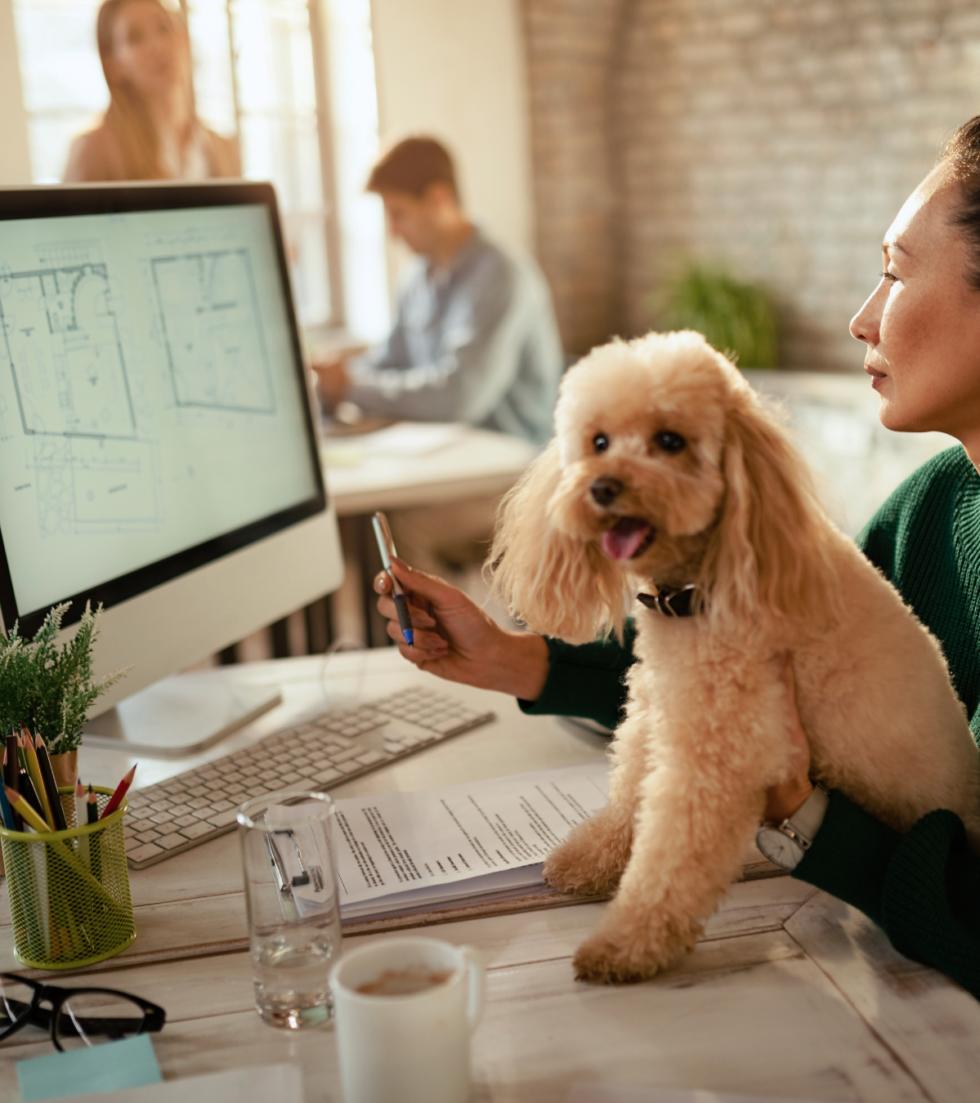 IT Support for Architecture Firms | Network Computer Pros